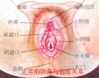 苏州金阊医院