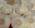 男性养生保健吃什么好？
