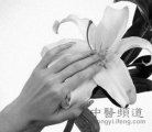 中医解读女人专属养生宝典