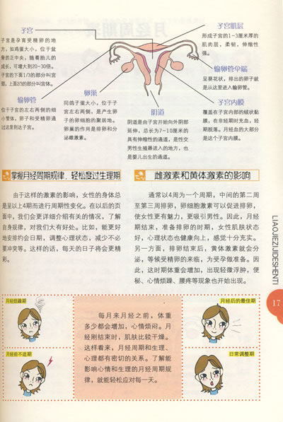 插图