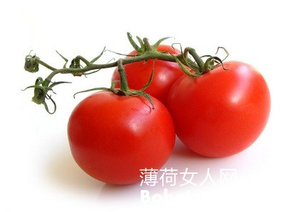 哪种西红柿番茄红素多