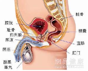 湿疣疱疹