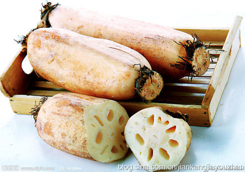 秋季润肺去燥不可缺6种食物