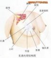 MSN健康百科