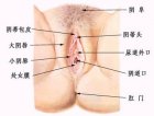 天桥生殖健康网